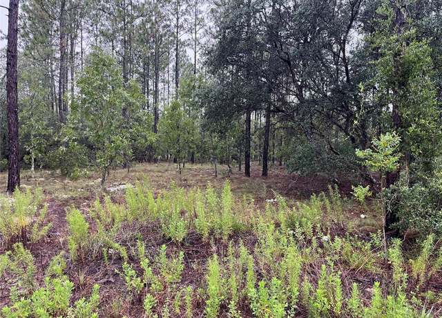 Property at Lot 12 SE 136th Ave, Dunnellon, FL 34431