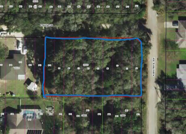 Property at 3288 and 3302 E Alisa Ln, Inverness, FL 34453