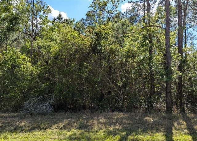 Property at 00 NE 108th Pl, Waldo, FL 32694