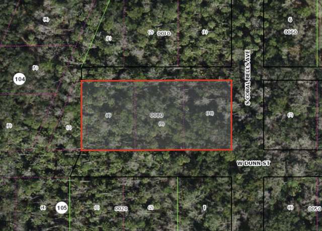Property at W Dunn, Homosassa, FL 34448