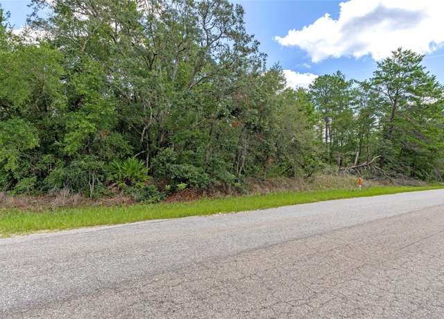 Property at 710 E Overdrive Cir, Hernando, FL 34442