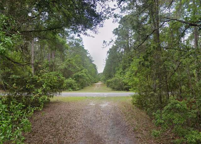 Property at 218 SE 1st St, Georgetown, FL 32139