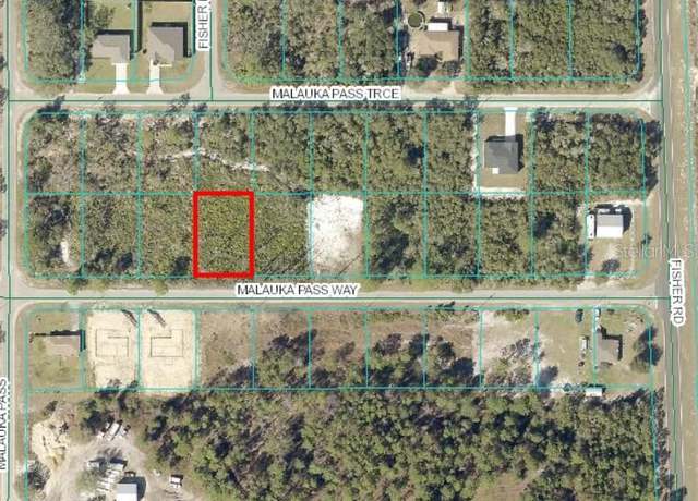 Property at 0 Malauka Pass Way, Ocklawaha, FL 32179
