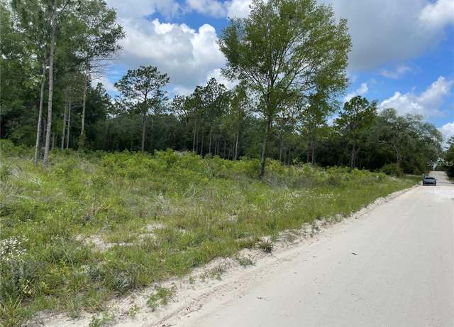 Property at TBD SE 23rd Pl, Morriston, FL 32668