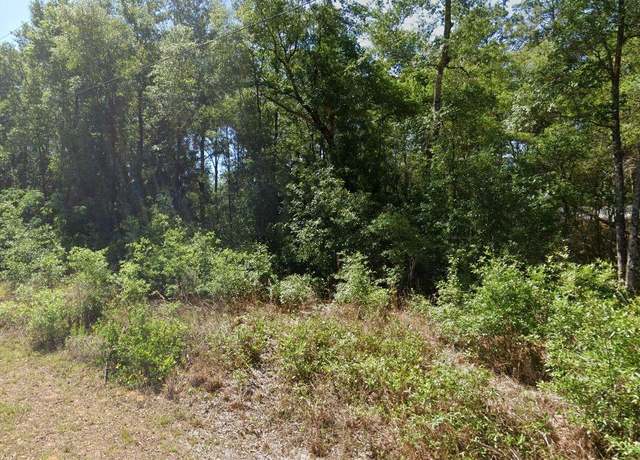 Property at 00 SW Starling Dr, Dunnellon, FL 34431