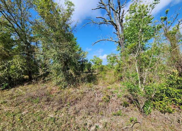 Property at Oxalis Ct, Dunnellon, FL 34431