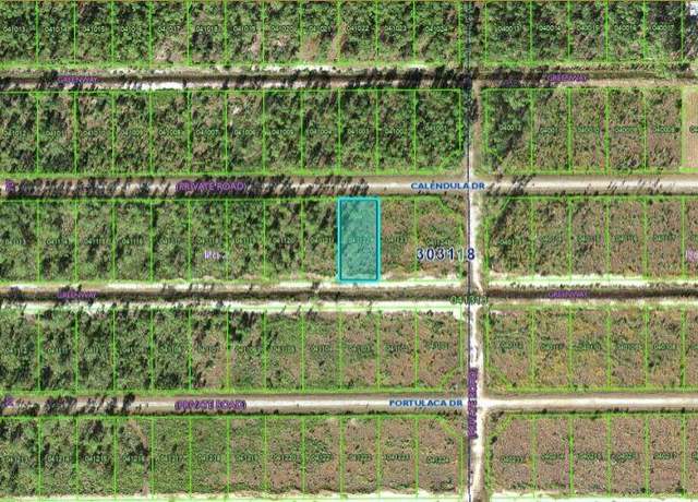 Property at Calendula Dr, Indian Lake Estates, FL 33855