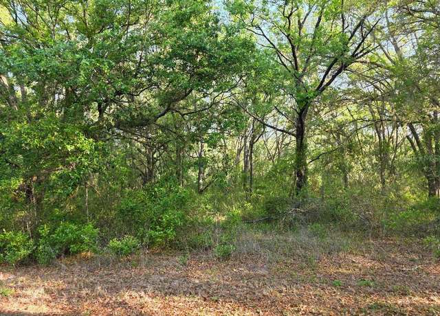 Property at SW Sea Cliff Dr, Dunnellon, FL 34431