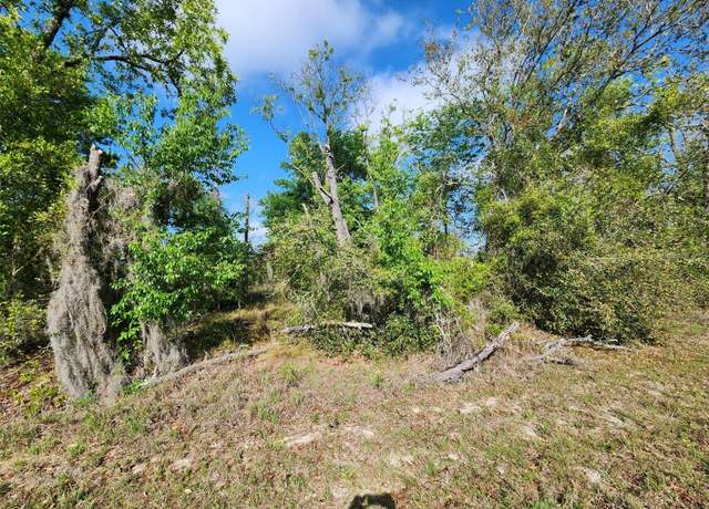 Property at TBD SW Oxalis Ct #015, Dunnellon, FL 34431