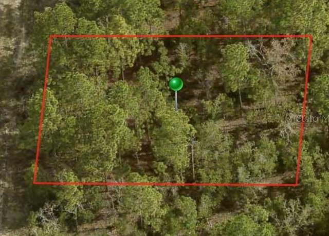 Property at 6581 N Winlock Ter, Citrus Springs, FL 34433