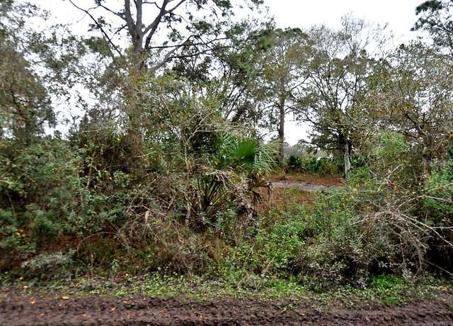 Property at Henrietta Ave, North Port, FL 34291
