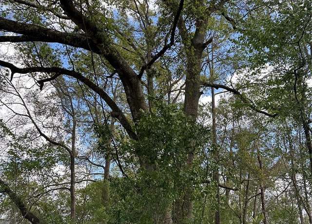 Property at 00 SW 193 Cir, Dunnellon, FL 34432