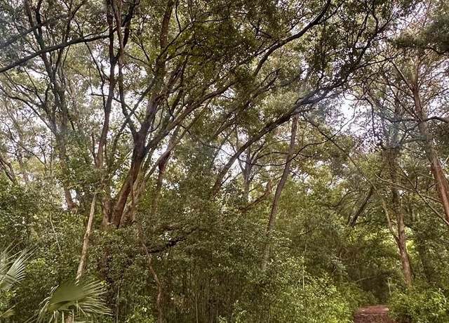 Property at NE 30th Pl, Williston, FL 32696