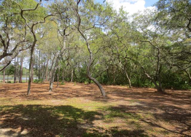 Property at 0 SE 10 St, Silver Springs, FL 34488