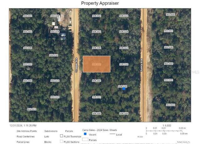 Property at Creager Ave, Interlachen, FL 32148