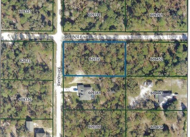 Property at 9352 Zebrafinch Ave, Weeki Wachee, FL 34614