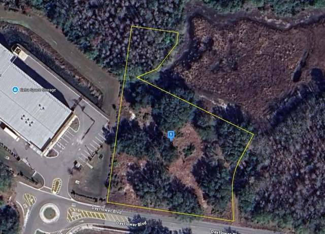 Property at 27561 Dayflower Blvd, Wesley Chapel, FL 33544