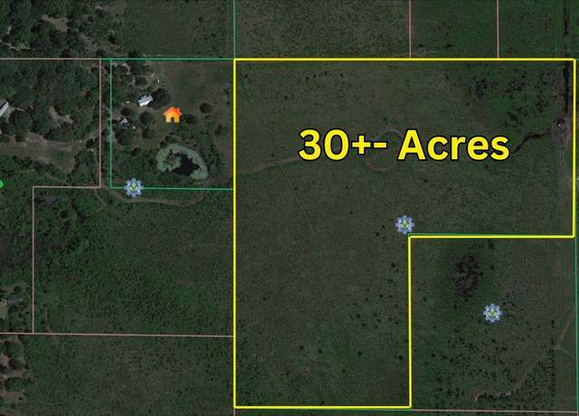 Property at 0 NE 125th, Fort Mc Coy, FL 32134