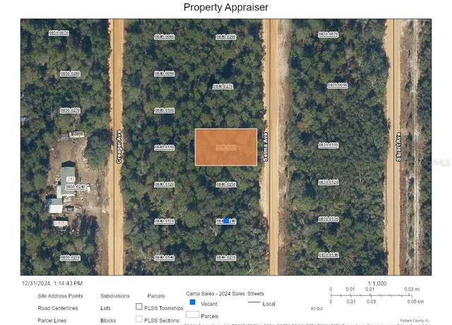 Property at Selma Ave, Interlachen, FL 32148