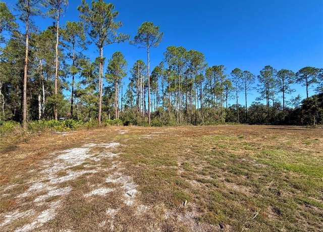 Property at NE Unassigned Ave, Old Town, FL 32680