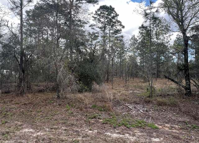 Property at Lot 16 SE 136 Ter, Dunnellon, FL 34431
