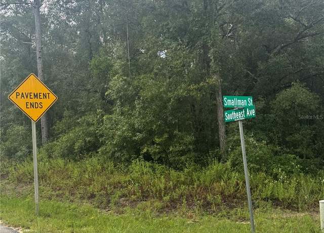 Property at Southeast Ave, Webster, FL 33597