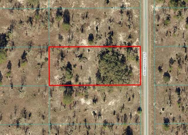 Property at TBD LOT 6 SW Marigold Ct, Dunnellon, FL 34431