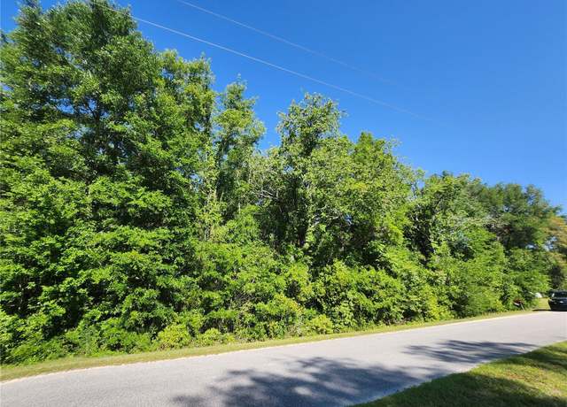 Property at TBD SW Yazoo Ct, Dunnellon, FL 34431