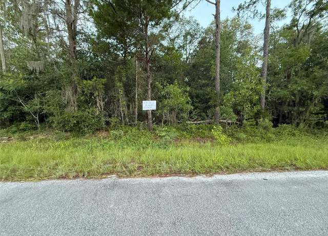 Property at 905 E Hillsborough, Florahome, FL 32140