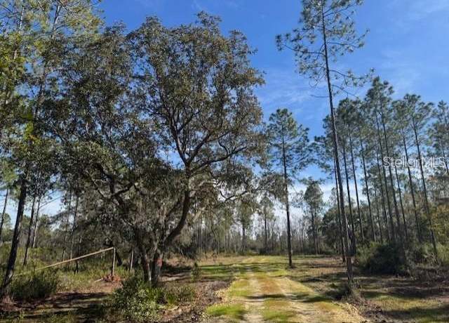 Property at NE 150th Ave Rd Lot 3, Fort Mc Coy, FL 32134