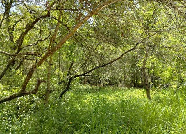 Property at Dogwood Way, Lady Lake, FL 32159
