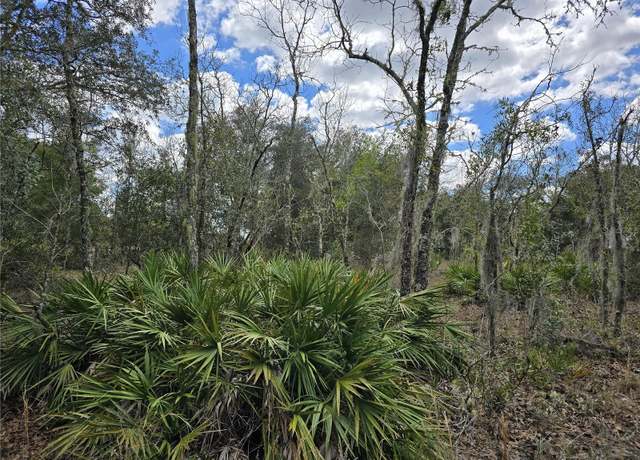 Property at 00 NE 115th Ave, Williston, FL 32696