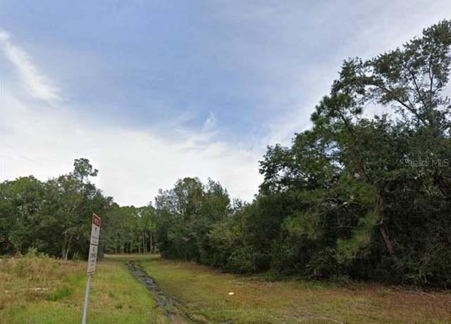 Property at 1439 Tern Ct, Kissimmee, FL 34759