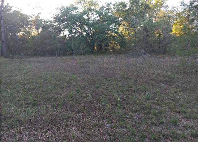 Property at 00 NE 141st Ct, Fort Mc Coy, FL 32134