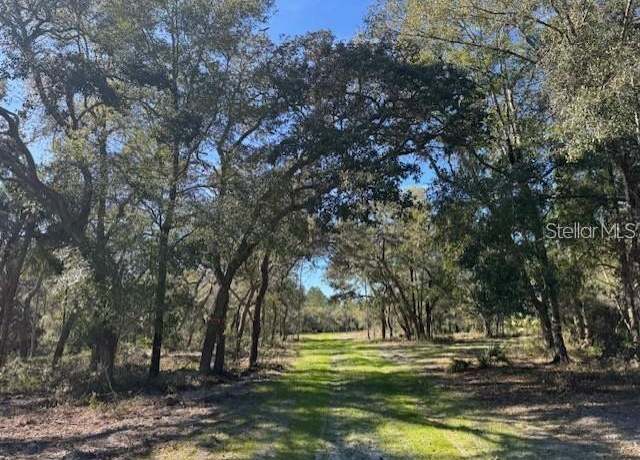 Property at NE 150th Ave Rd Lot 5, Fort Mc Coy, FL 32134