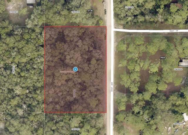 Property at 01-17-28-0100-000-05600 East Ave, Paisley, FL 32767