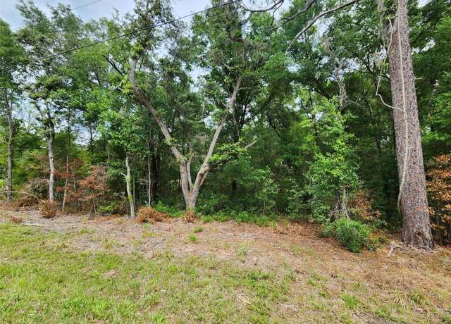 Property at SW 199th Ct, Dunnellon, FL 34431
