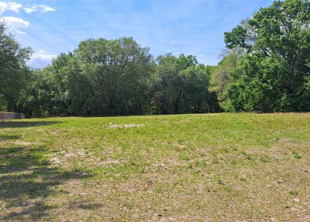 Property at 00 SE 101st CT Rd, Belleview, FL 34420