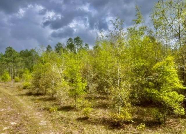 Property at NE 998th Ave, Branford, FL 32008