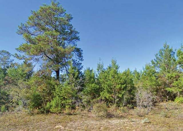 Property at Dumajack Rd, Chipley, FL 32428