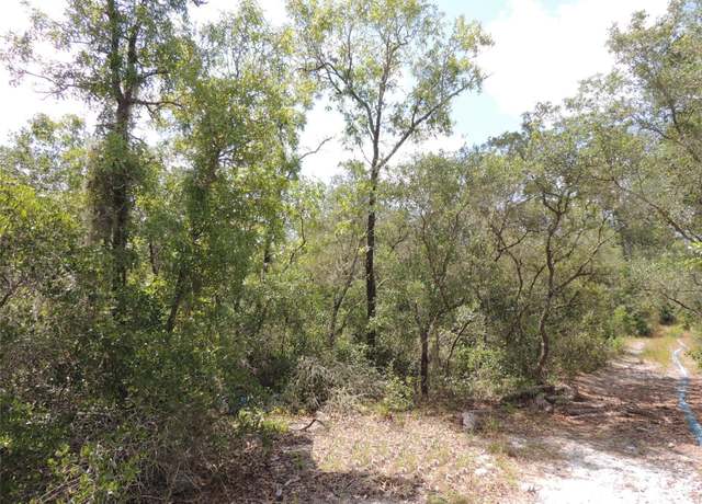 Property at 5551 SW 103rd Ct, Cedar Key, FL 32625