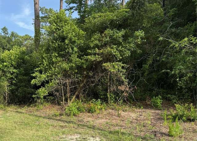 Property at NE 67th Ln, Bronson, FL 32621