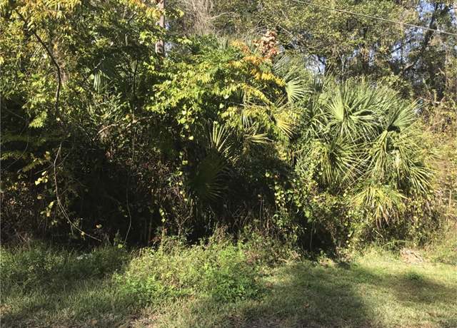 Property at Lot 14, Lake Panasoffkee, FL 33538