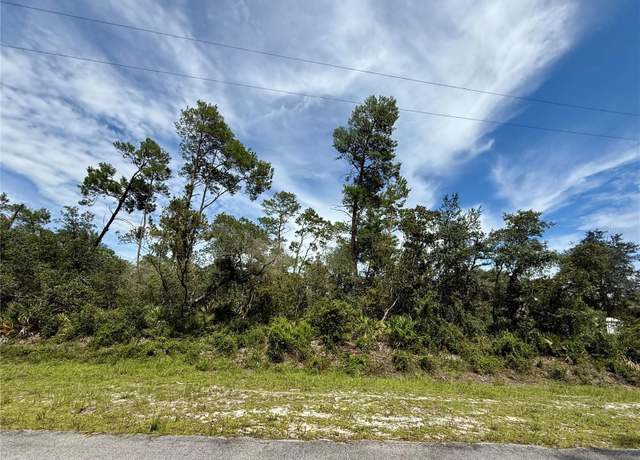 Property at LOT 1 Dahlia St, Eustis, FL 32736