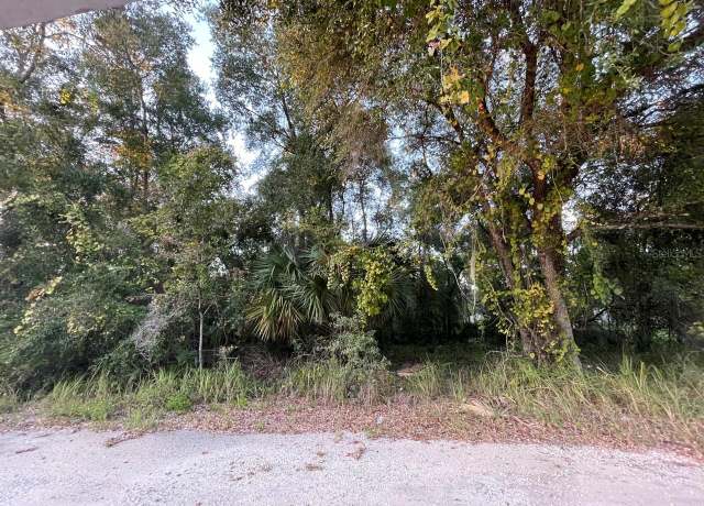 Property at NE 132nd St, Salt Springs, FL 32134