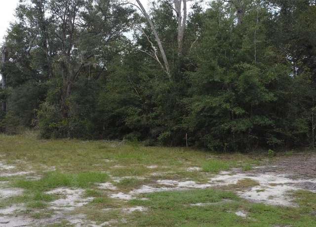 Property at Tbd NE 127th Pl, Bronson, FL 32621