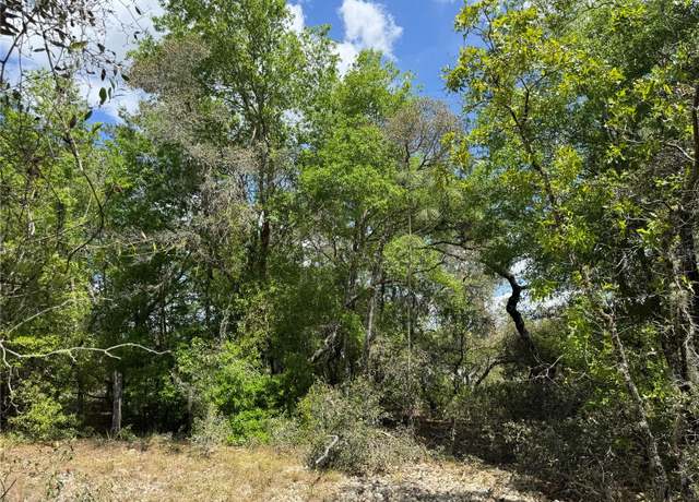 Property at TBD SW Big Bear Rdg, Dunnellon, FL 34431