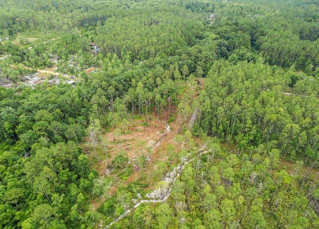 Property at TBD NE 125th Ave, Fort Mc Coy, FL 32134