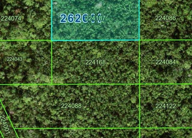 Property at 0 NO Name Rd #343, Polk City, FL 33868