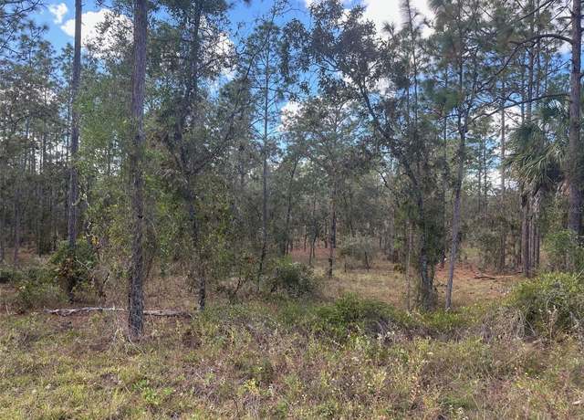 Property at SE 129th Ct, Dunnellon, FL 34431